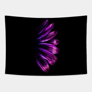 Purple African Daisy Flower Tapestry