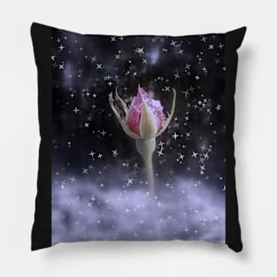 starry sparkling rosebud in the snow 3, tinted Pillow