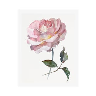 Pink delicate rose hand painted watercolour by Leanne T-Shirt