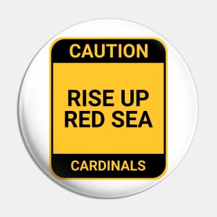 RISE UP RED SEA Pin