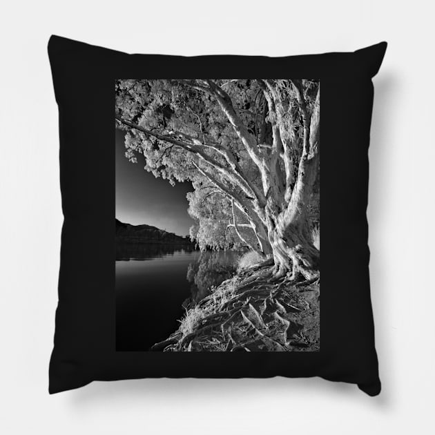 Silver Edge Pillow by MattNQ