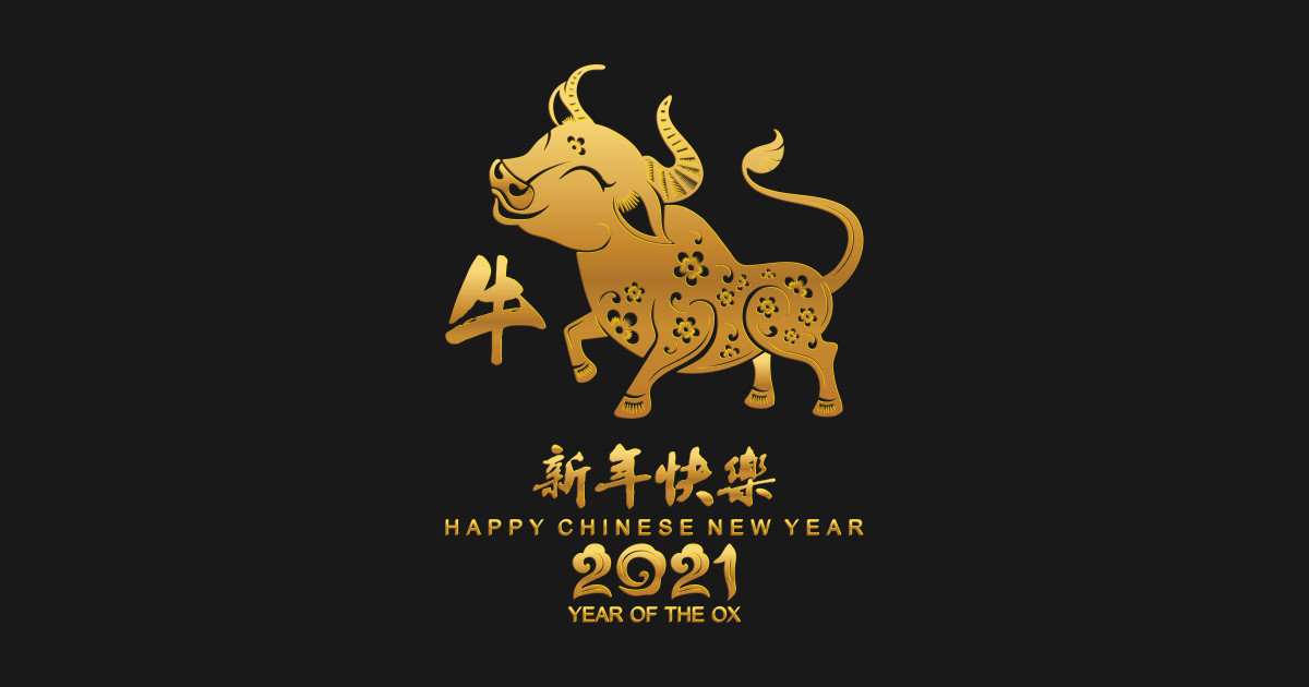 Chinese New Year of the Ox 2021 2022 Zodiac Lunar year Gift 2021 Year