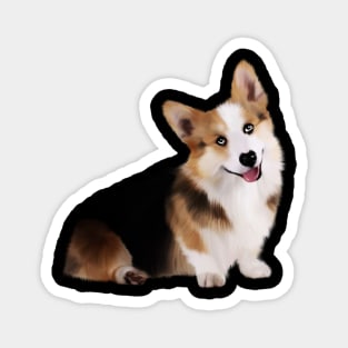 Corgi Dog, Love Corgis Magnet