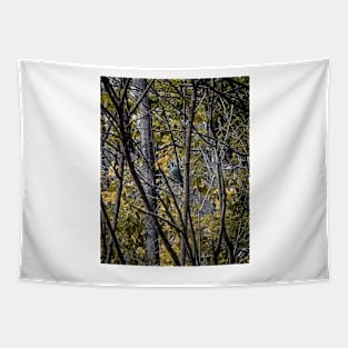 A November Bluejay Tapestry