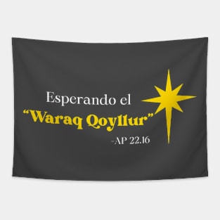 Esperando el Waraq Qoyllur - Waiting for the Morning Star Tapestry