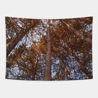 Autumn Trees Tapestry