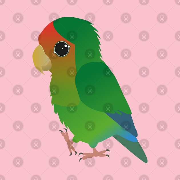 Cute peach faced lovebird by Bwiselizzy