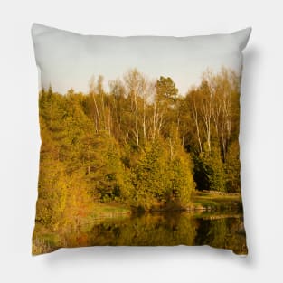 Autumn Forest-1 Pillow