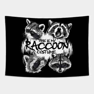 This is My Raccoon Costume Funny Raccoon Street Cats Trash Tapestry