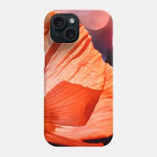 Catch the Light & Throw it Back Phone Case