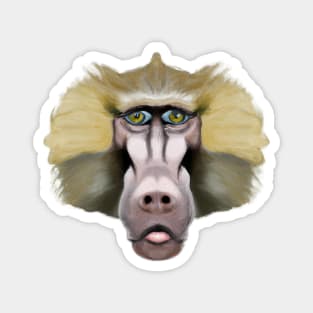 Cute Baboon Drawing Magnet