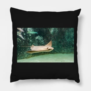 Swimming Cownose ray Pillow