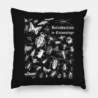 An Introduction to Entomology Pillow