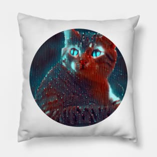 Adorable mycat, revolution for cats Pillow