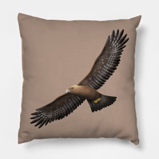 Golden Eagle - Aquila chrysaetos Pillow
