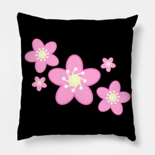 Sakura Cherry Blossom Flowers in Black Background Pillow