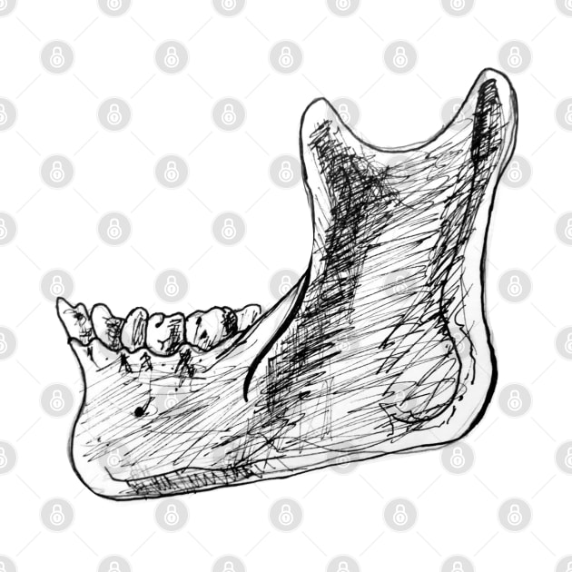 Pen and Ink Mandible Sketch by emadamsinc