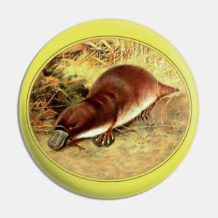 Platypus Pin