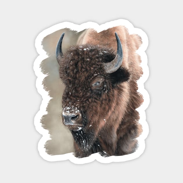 American Bison Portrait Magnet by rachelstribbling