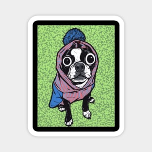 Boston Terrier Sweater Hoodie Magnet