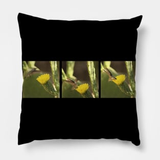 Hummingbird On Yellow Cactus Blossom Triptych Pillow