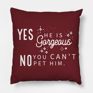 Dog Walking Pillow - Yes He Is Gorgeous, No You Can't Pet Him - Dark Shirt Version by Inugoya