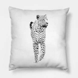 Leopard on the Prowl in Graphic Black and White Pillow