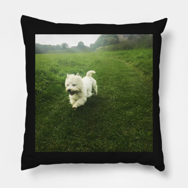 Westie Pillow by princess-pirate