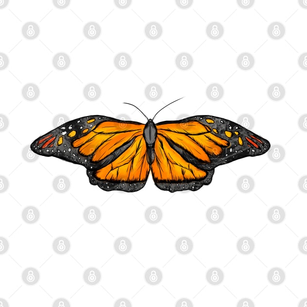 Butterflies Orange by Raphoto1