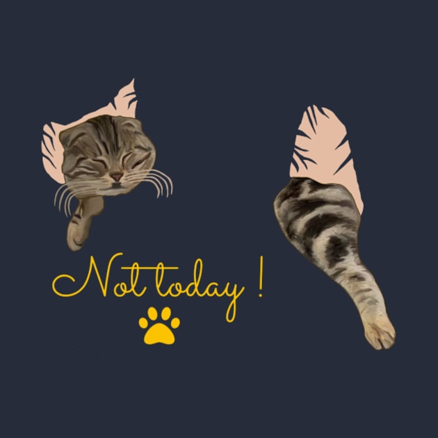 Not today - Sleeping Cat by SaBa Store