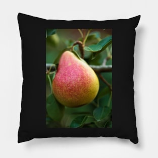 Red yellow pear on a branch Pillow