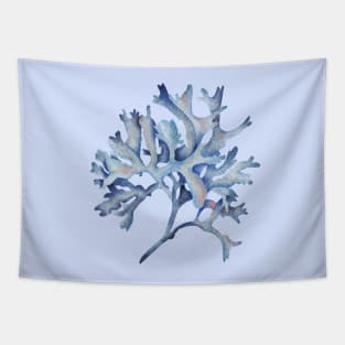 Marine Coral Underwater Pattern Tapestry