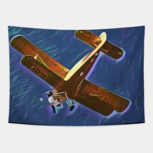 Double-wing plane in flight Tapestry