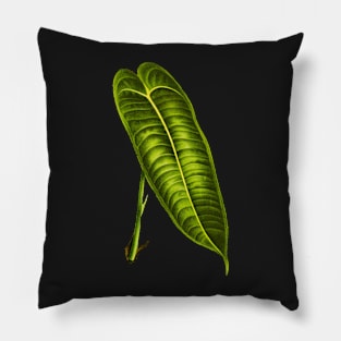 Anthurium Veitchii leaf botanical illustration Pillow