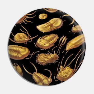 Golden Trilobites Pin