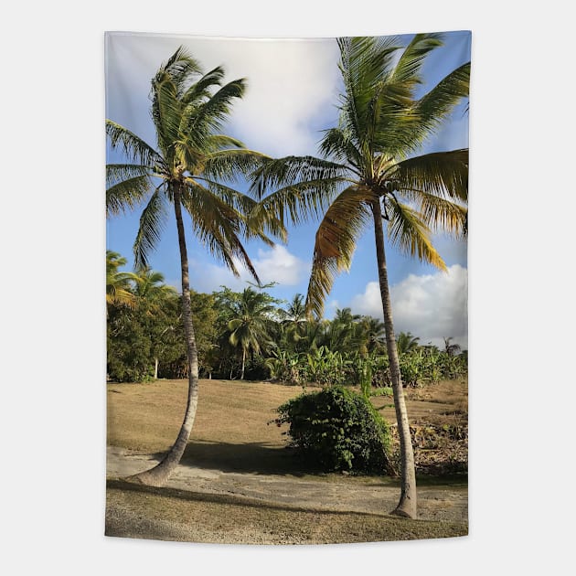 Barbados Palm Trees Along a Roadway Tapestry by Bravuramedia