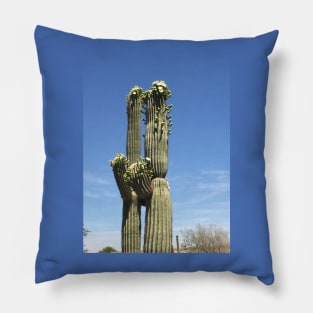 Cacti couple Pillow