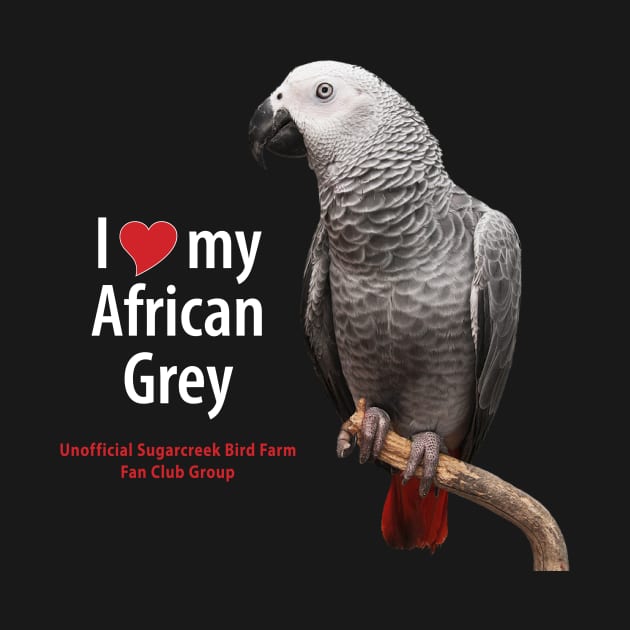 love African grey (1) by Just Winging It Designs