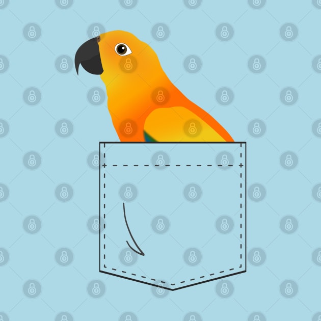 Sun Conure Parrot In Your Front Pocket by Einstein Parrot