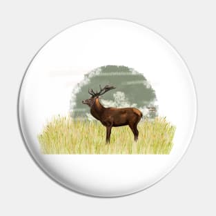 Red deer in Scandinavia Pin