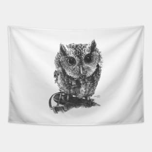 Eastern Screech Owl Tapestry