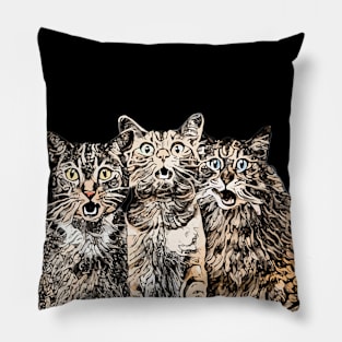 Amazed kittens. Kitten Pillow