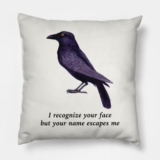 Crows Are Smart, Facial Recognition Joke Pillow