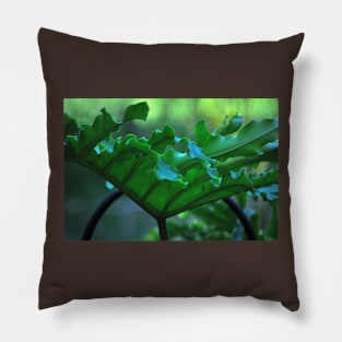 Big Leafy Leaf Pillow