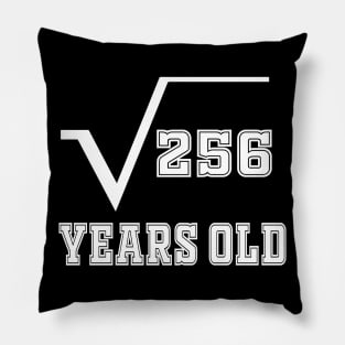 16 years old birthday Pillow