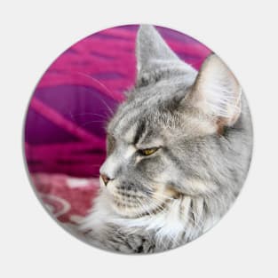 Maine Coon Pin