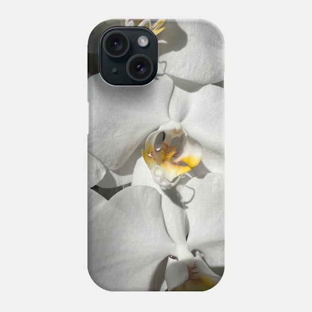 White Orchid Yellow Center Phone Case by KarenZukArt