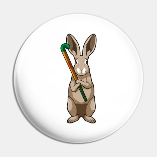 Bunny at Hockey with Hockey stick Pin