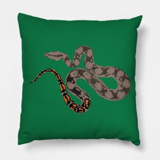 Boa Constrictor Pillow