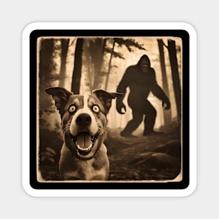 Funny Surprised Scared Dog With Sasquatsch Bigfoot Magnet